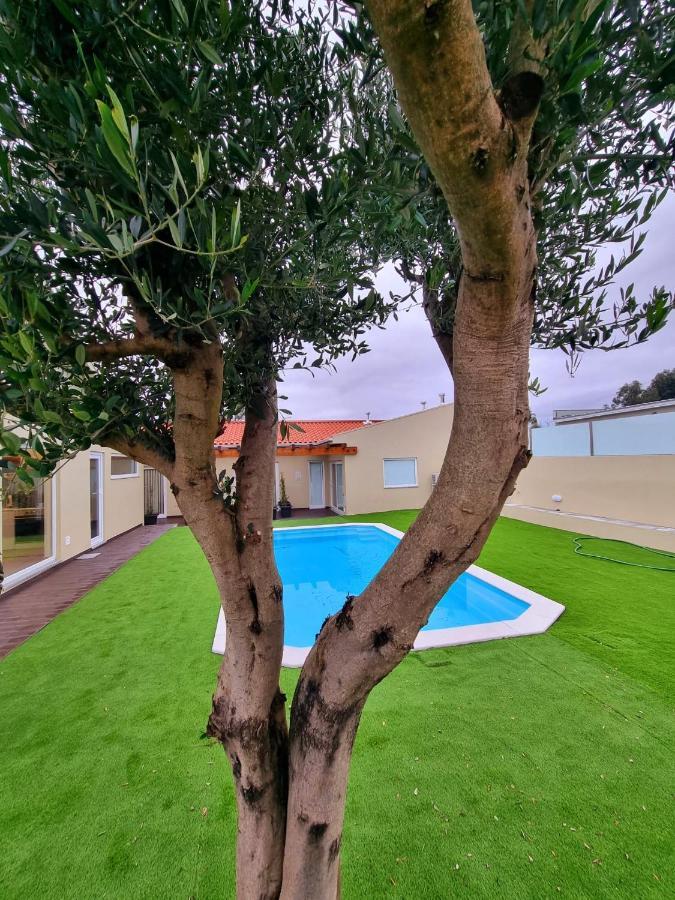 Villas Com Piscina ヴィラ・ノヴァ・デ・ガイア エクステリア 写真